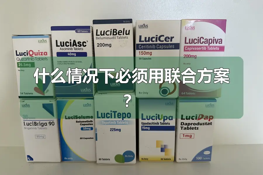 什么情况下必须用联合方案?